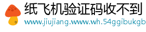 纸飞机验证码收不到